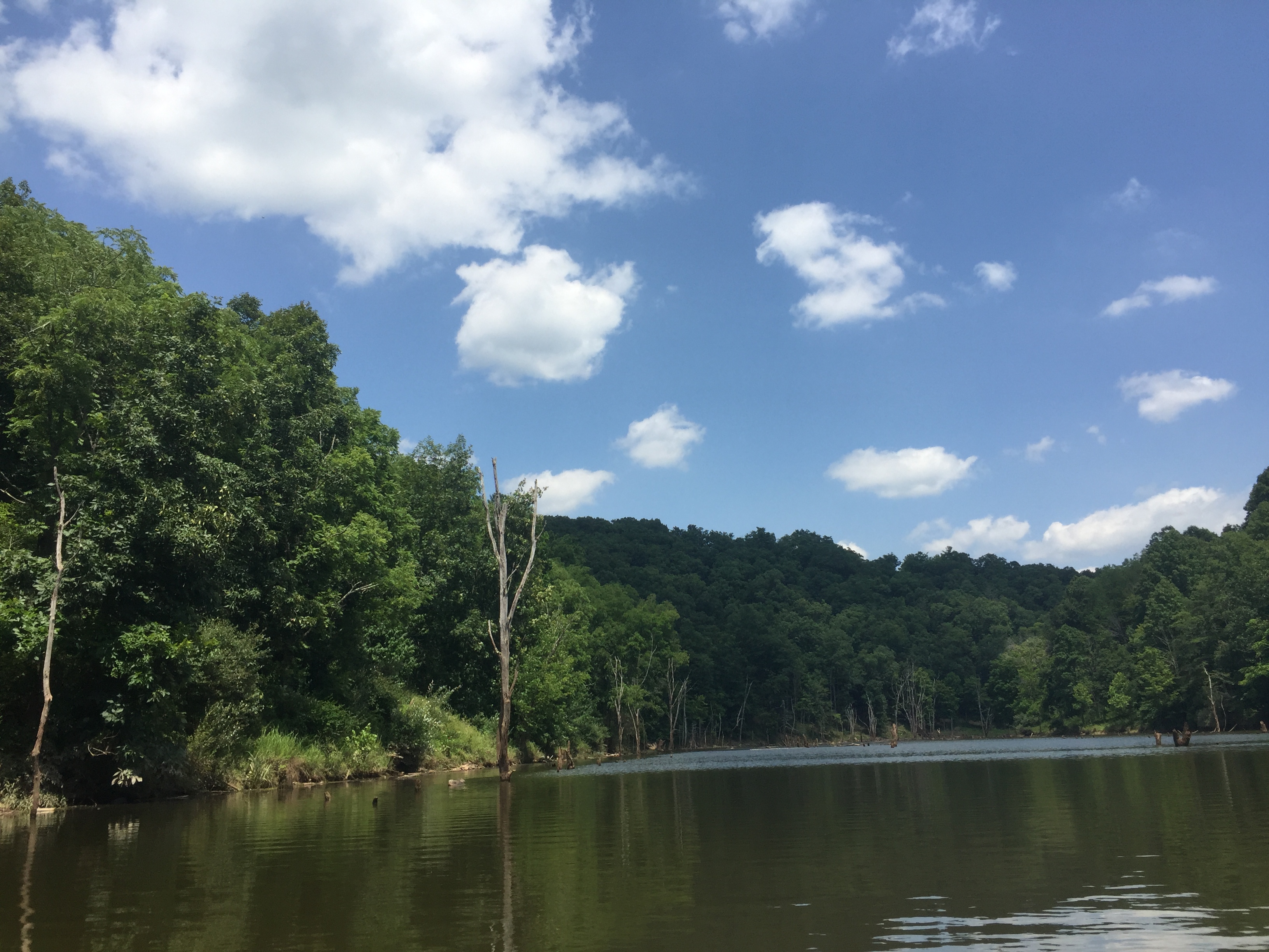 on the lake