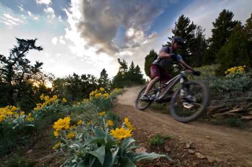 biking at Johnson T. Janes