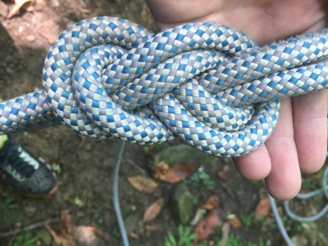 closeup of a knot