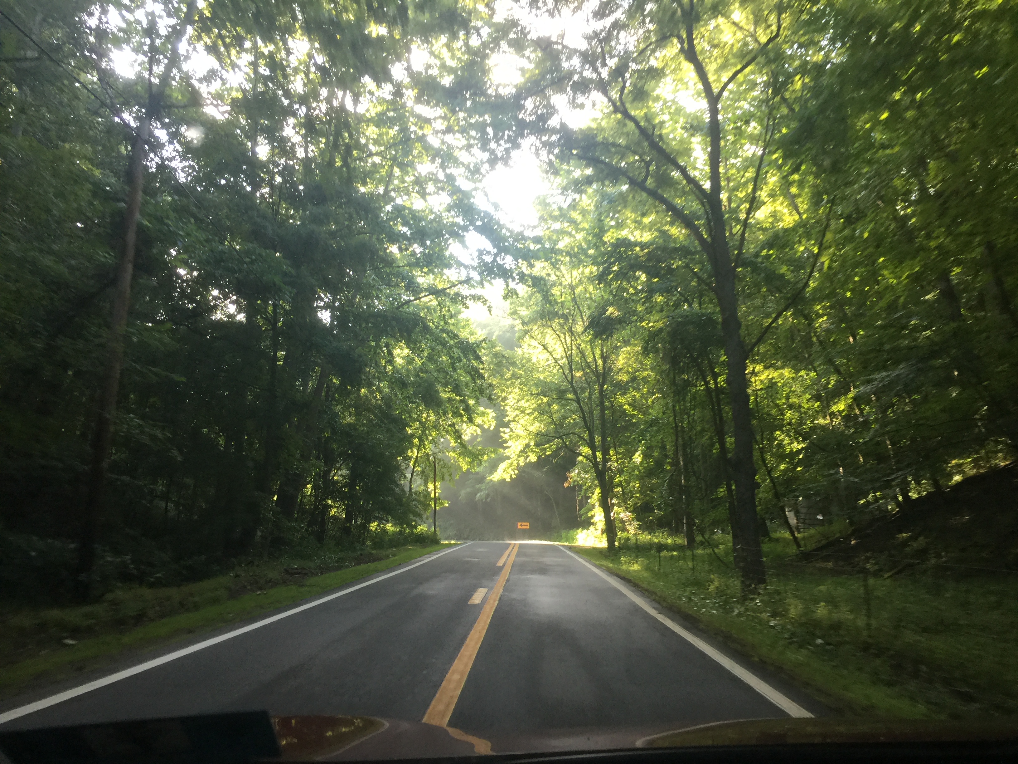 driving on a road in the forest