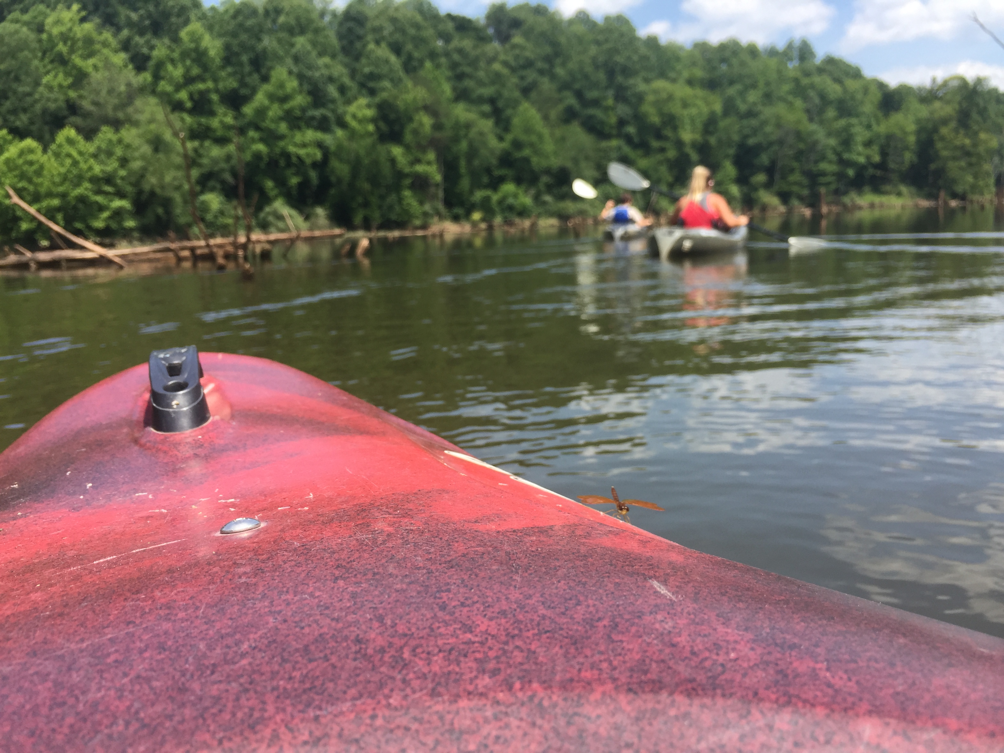 Kayaking shot in first persion view on a lake