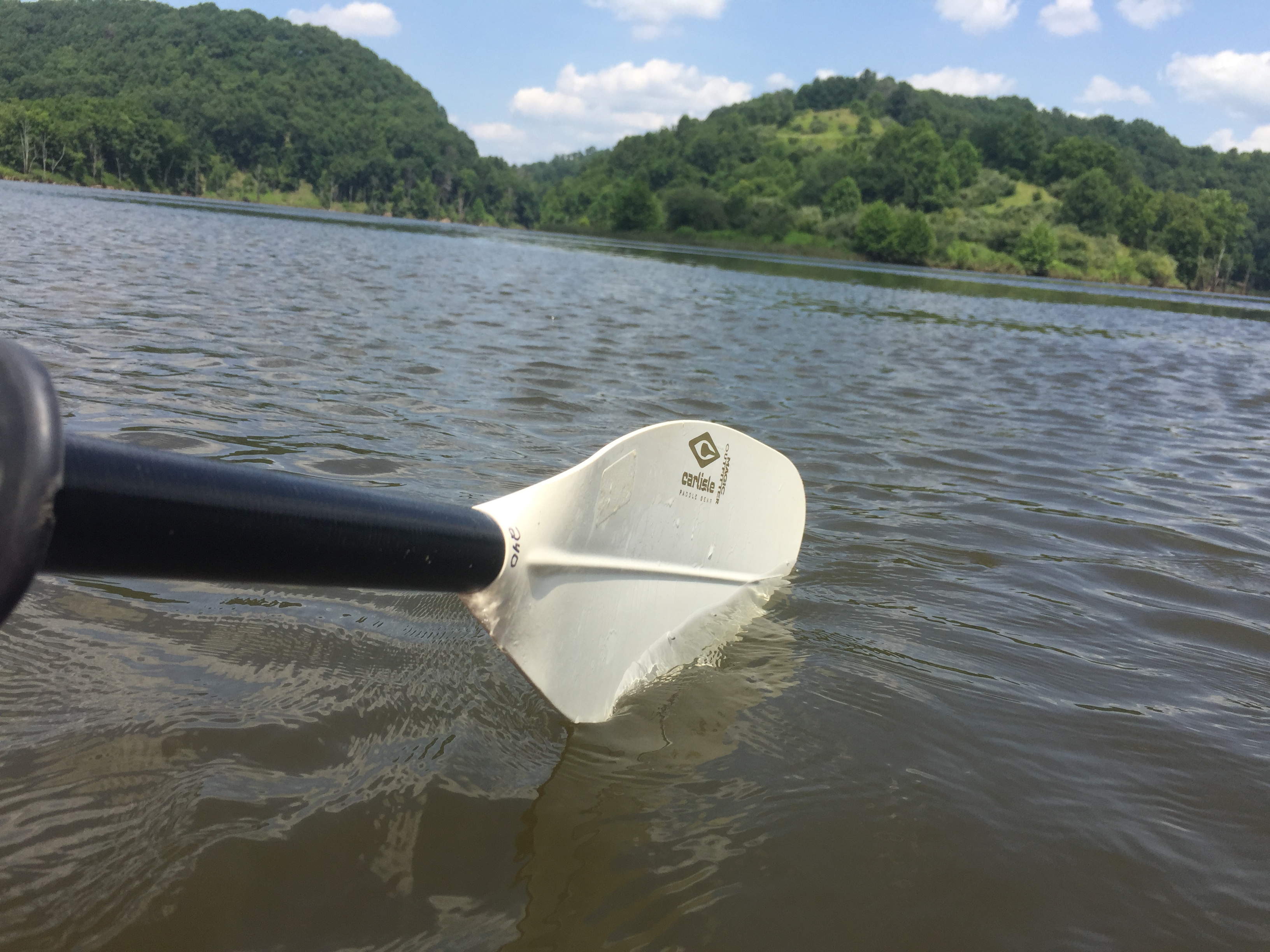 a paddle in the water