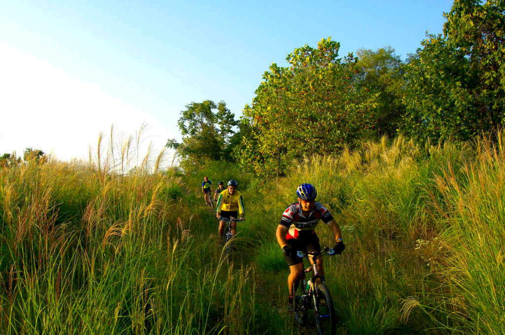 People biking a trail at Mountwood Park