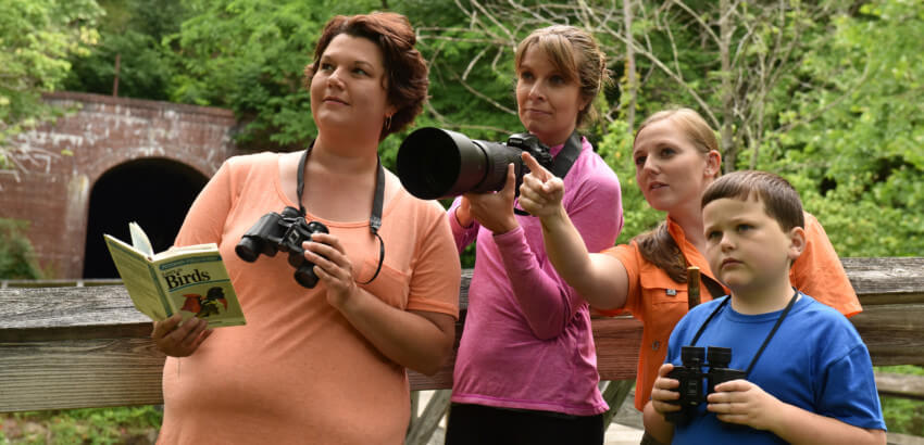 people watching birds with binoculars