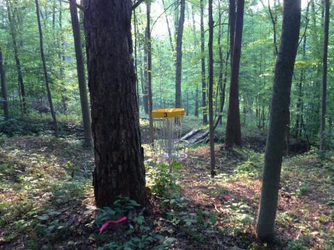 disc golf target