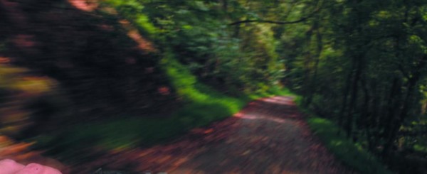 riding a bike down a trail