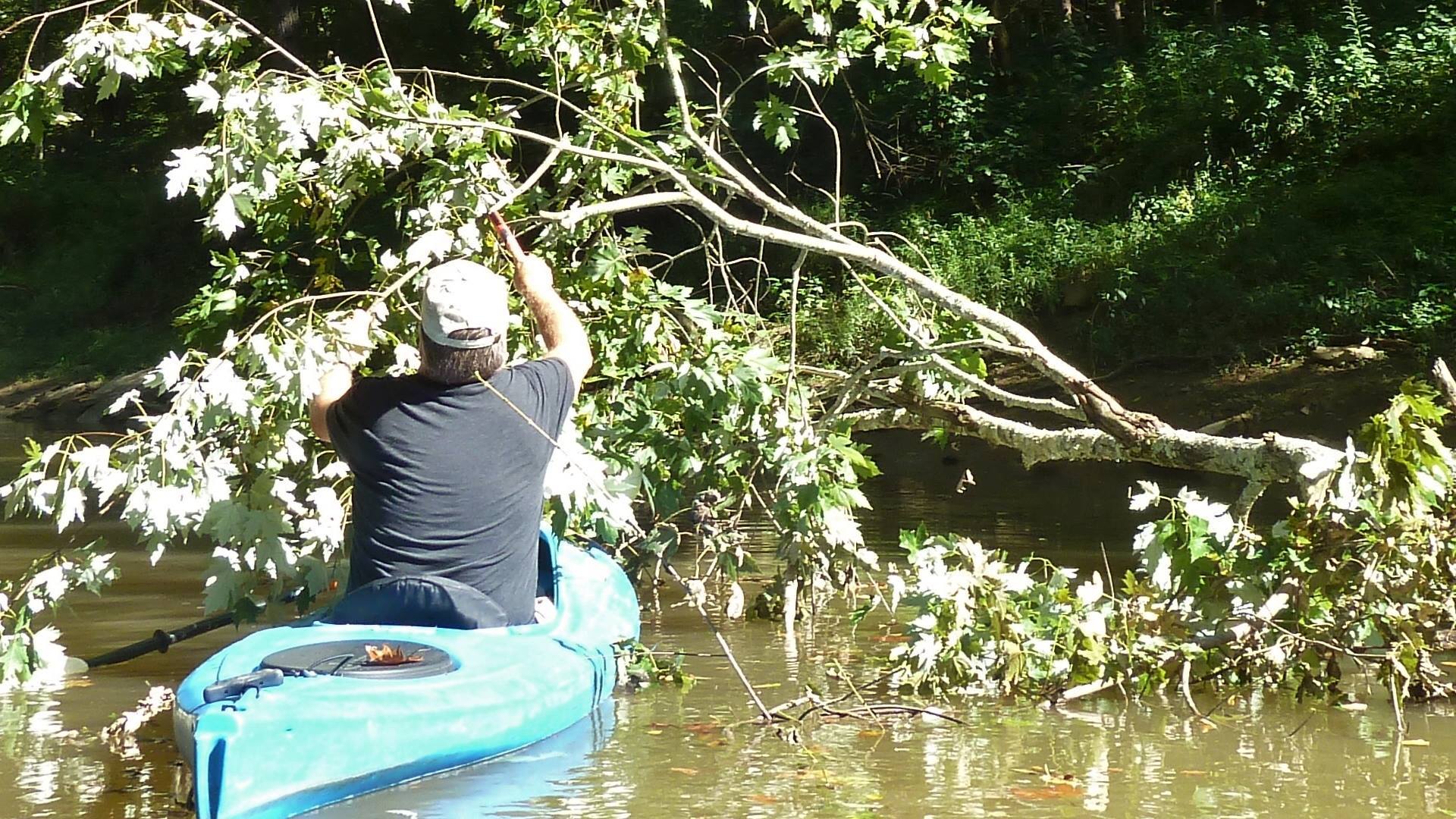 kayaking on a river next to down trees