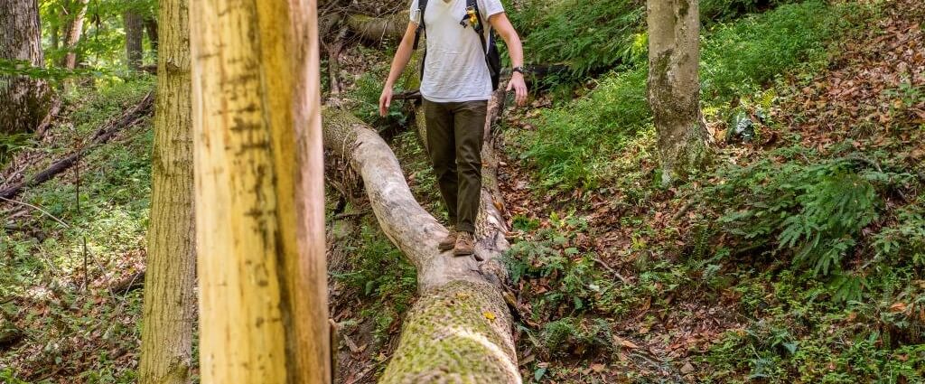 hiker walking on a down tree