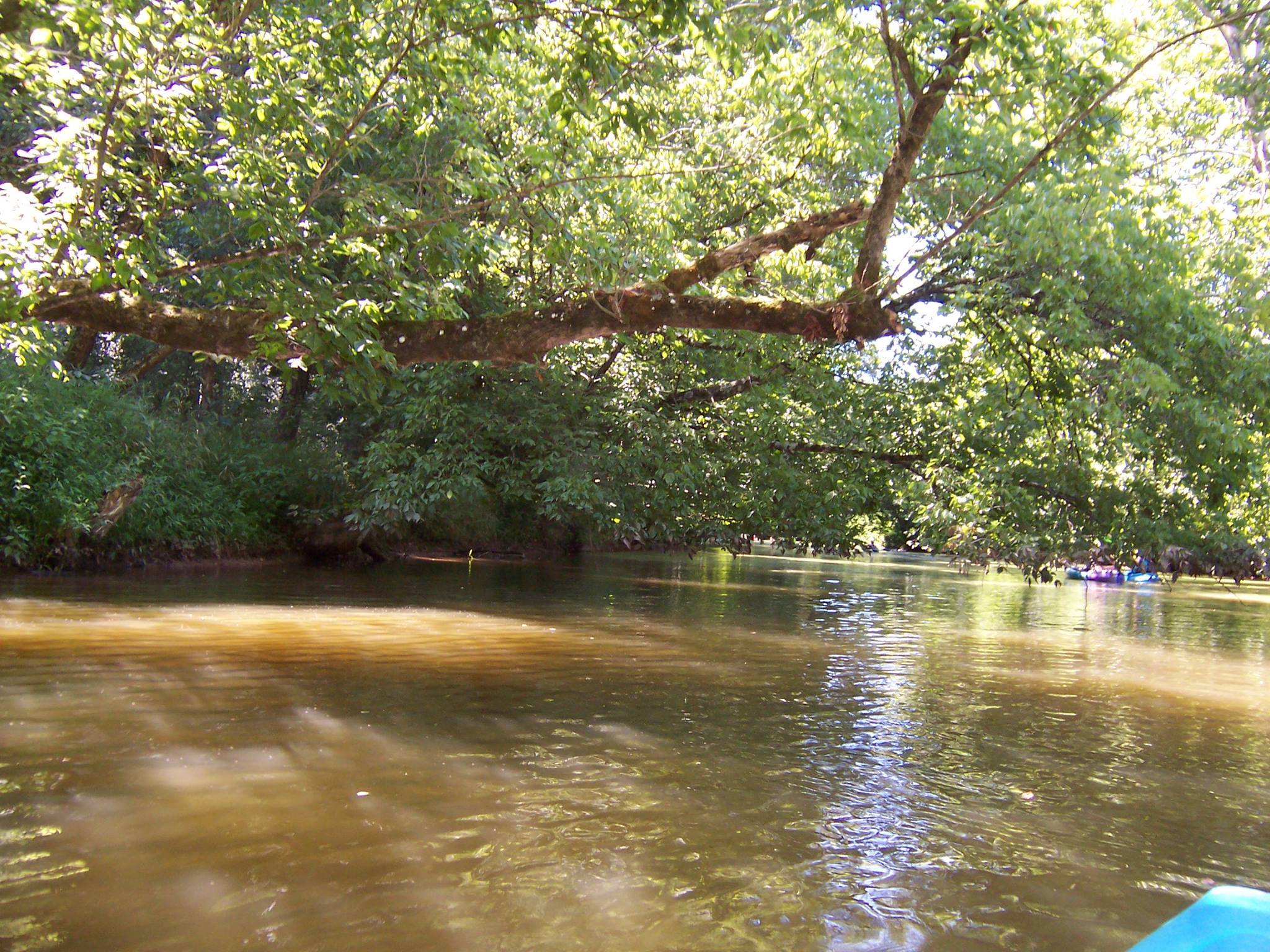 kayaking on a river