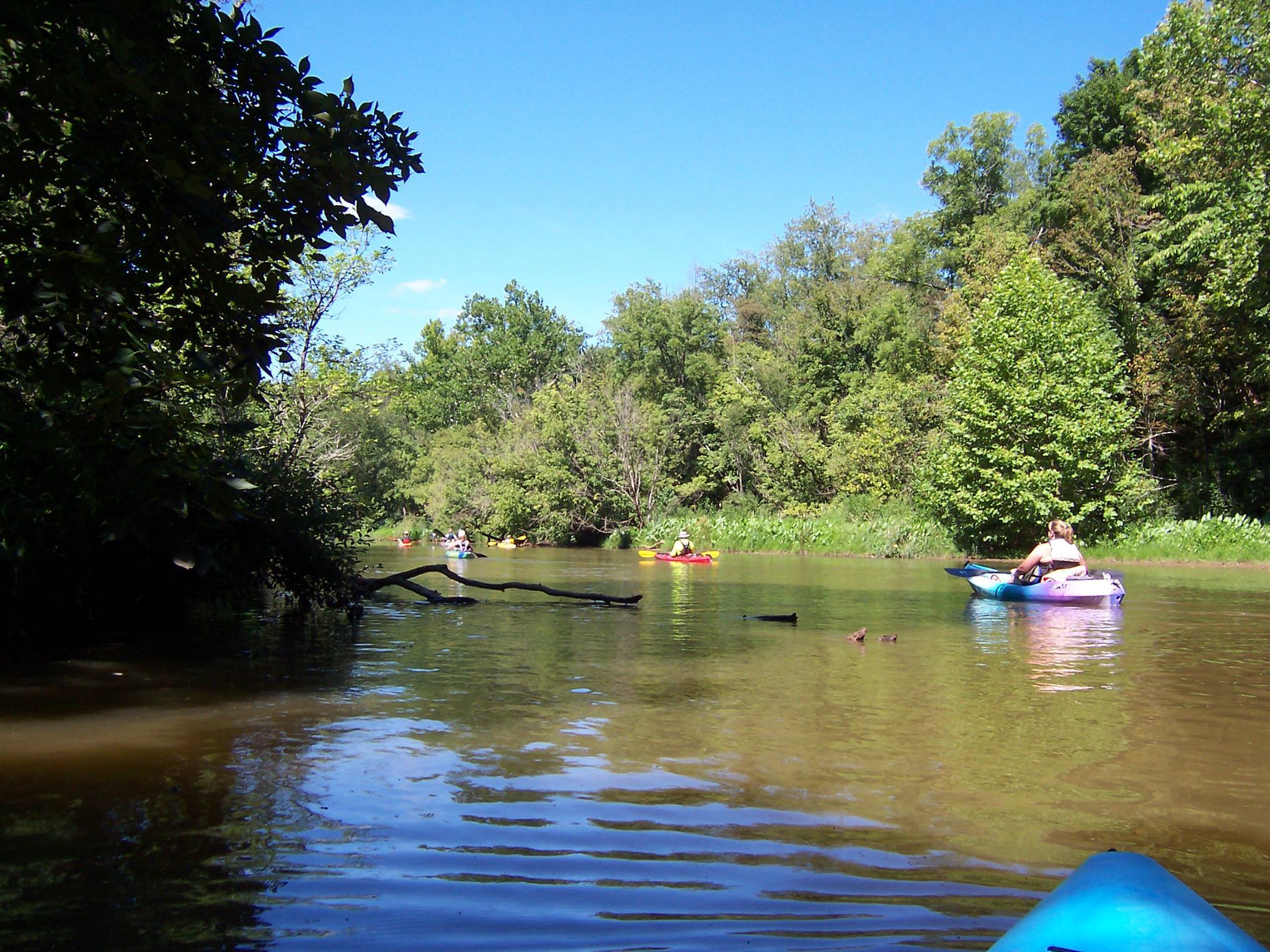 group kayaking on a river