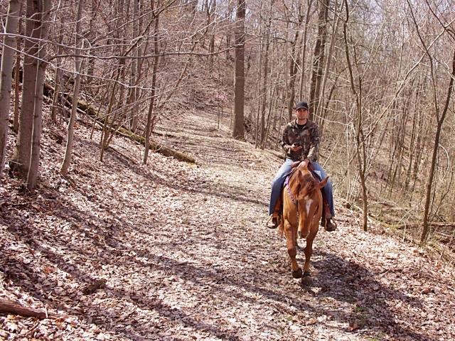 horseback riding