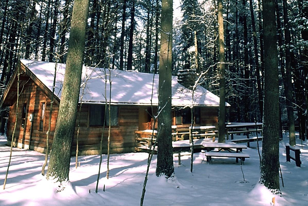 Cabin in the snow