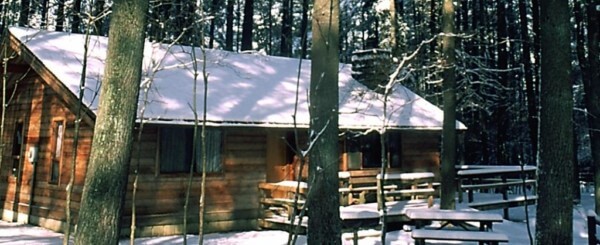 Snow covered cabins in a forest
