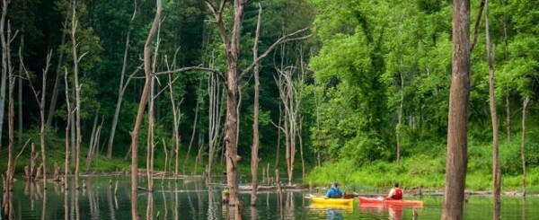 Kayaking on a lake