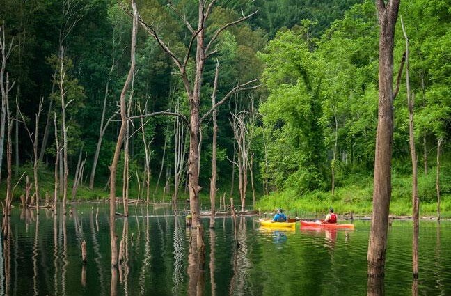 Kayaking on a lake