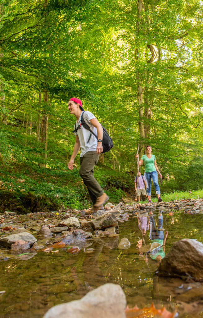 Hiking In Mountwood Park