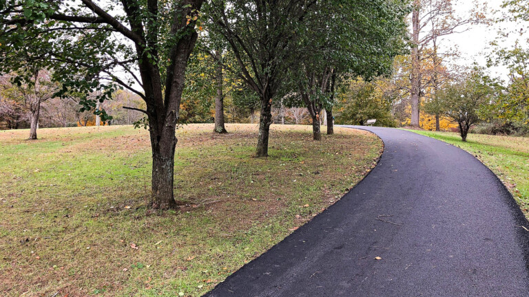 website 15 768x432