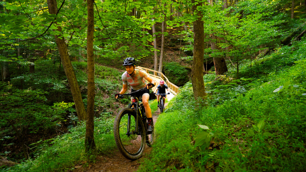 Two mountain bikers at Mountwood Park