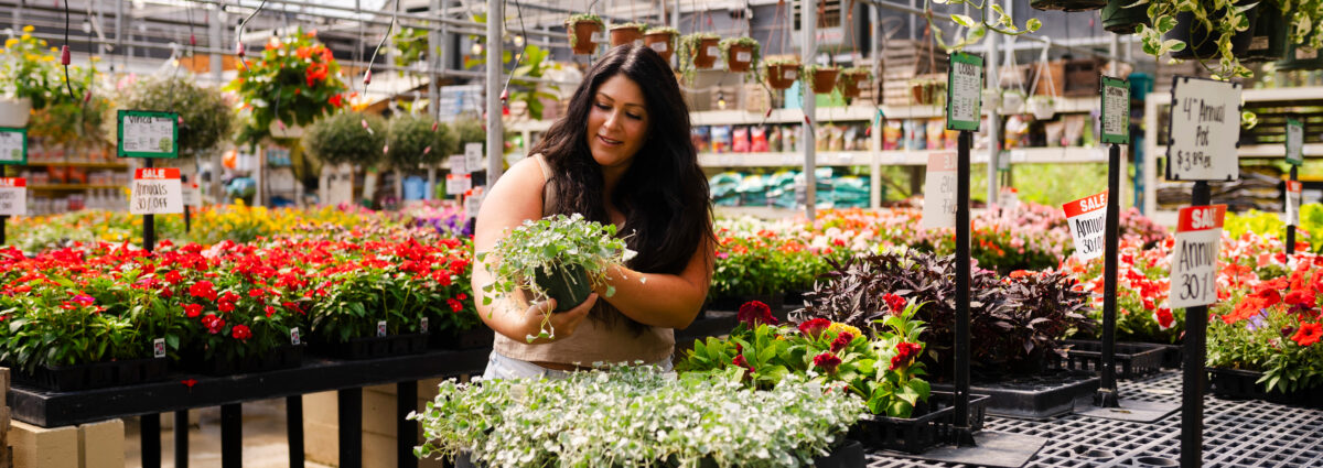 A woman admires a plant at the Scots Marketplace Greenhouse.