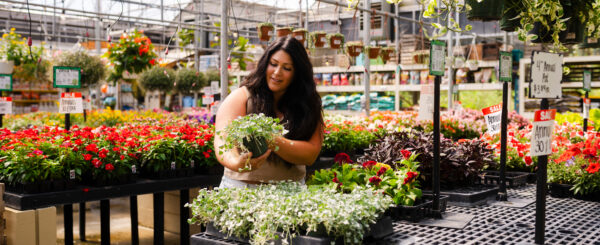 A woman admires a plant at the Scots Marketplace Greenhouse.