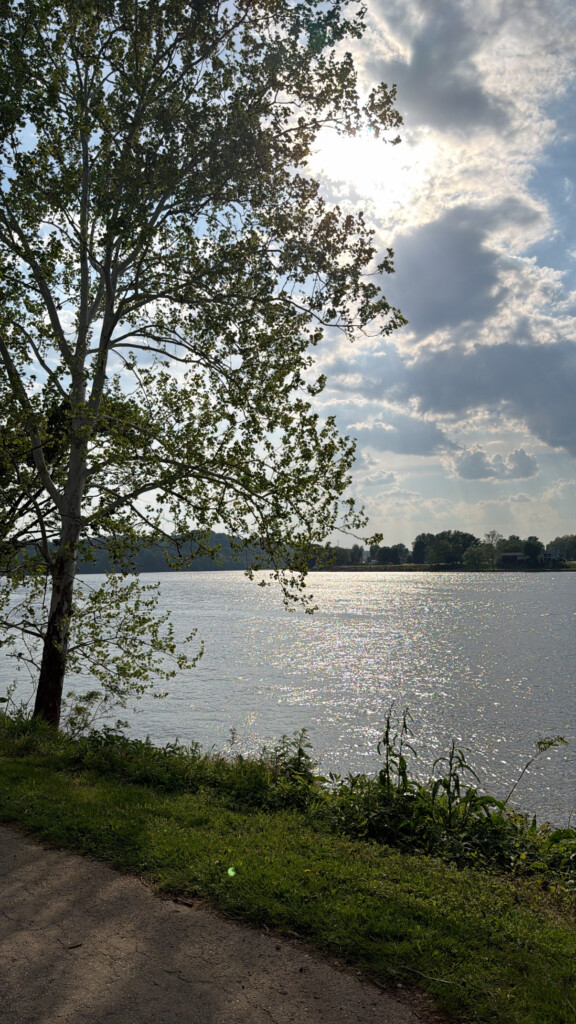 A scenic river view from the Parkersburg Ohio River Trail at Point Park