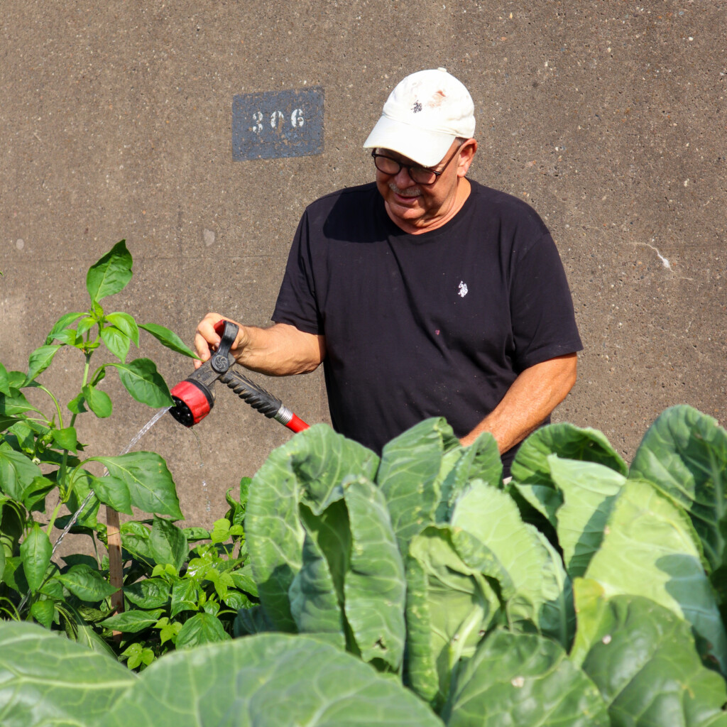 A man works at the Plants at the Point community garden